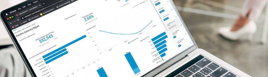 person-looking at centralreach insights advaced BI dashboard