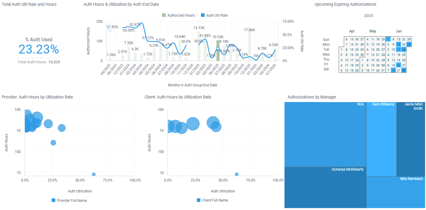 Authorization Analysis Authorization Analysis to demonstrate they meet the requirements for tracking and monitoring the utilization of services.