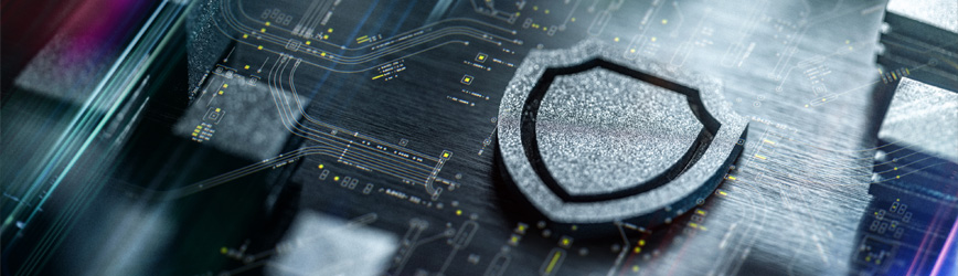 software-security